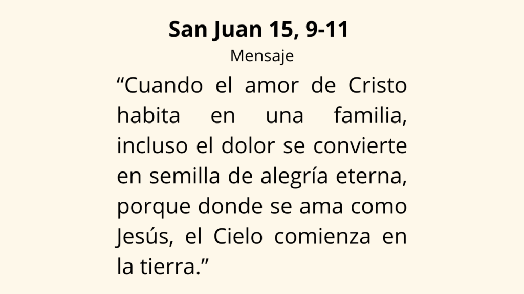 Evangelio San Juan 15, 9-11
