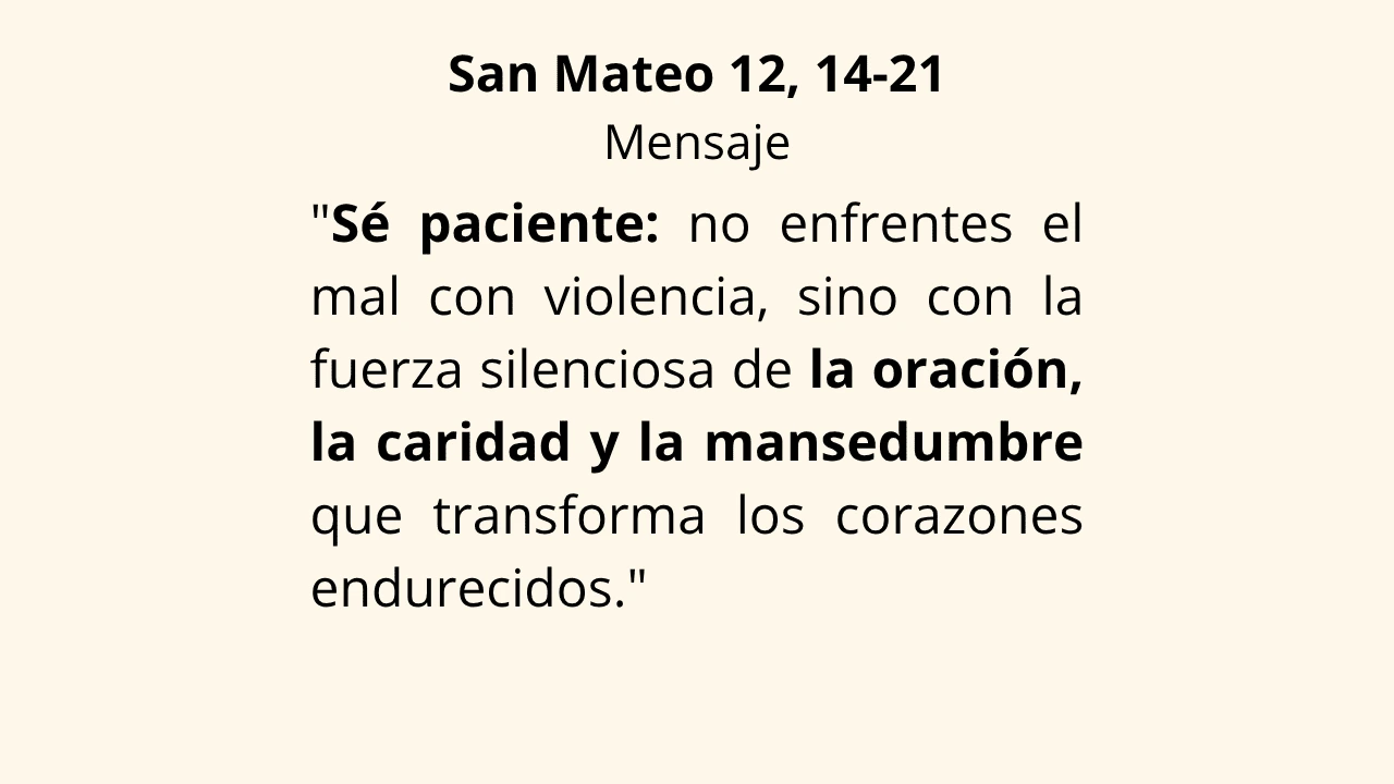 Evangelio San Mateo 12, 14-21