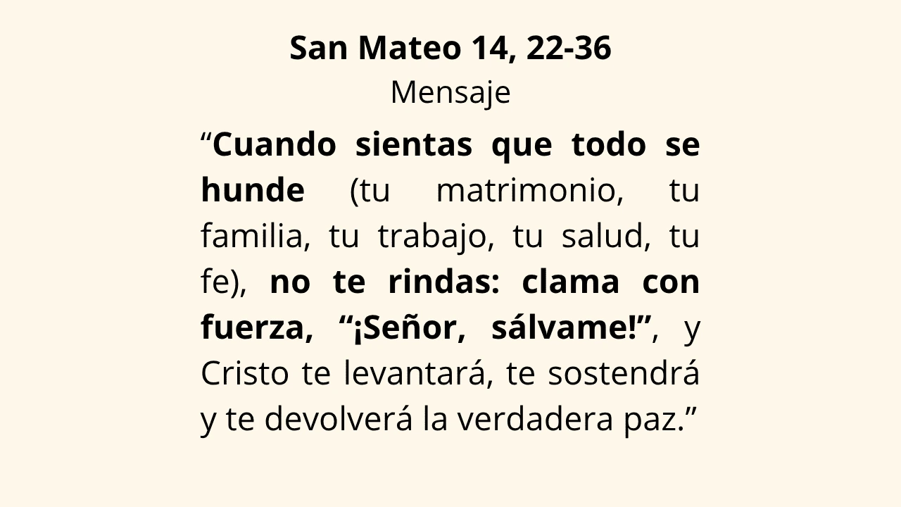 Evangelio Mateo 14, 22-36