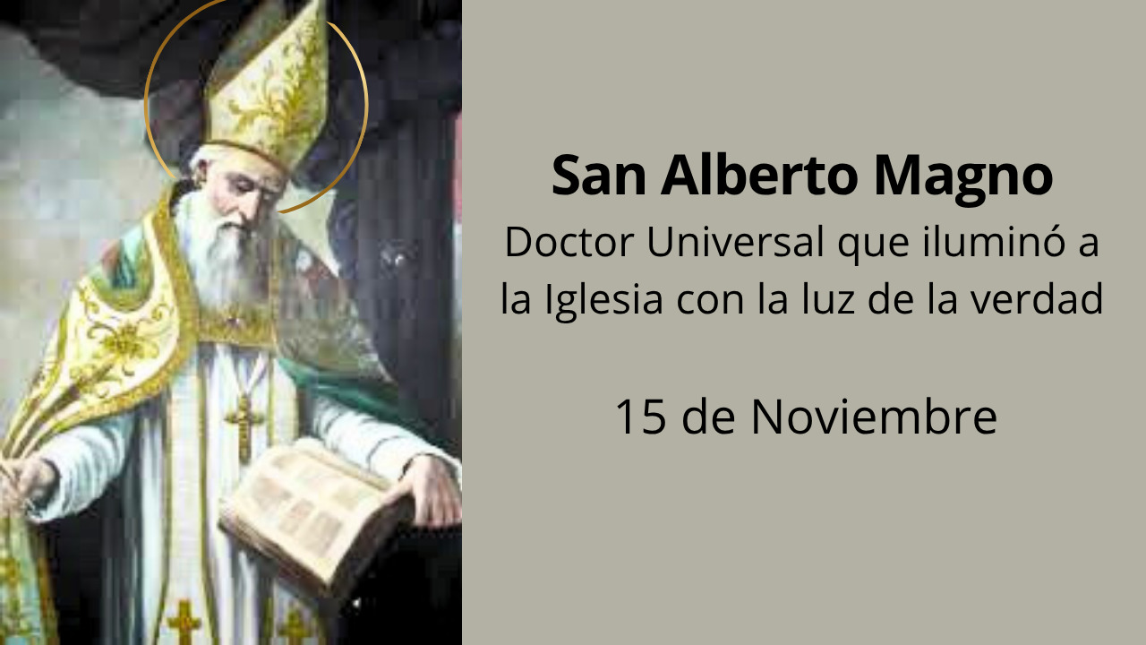 San Alberto Magno: Doctor Universal que iluminó a la Iglesia con la luz de la verdad