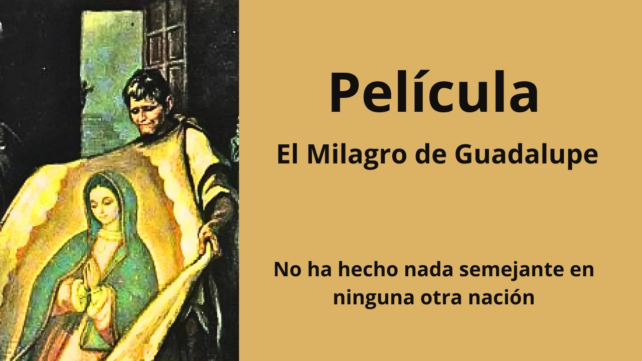 El Milagro de Guadalupe
