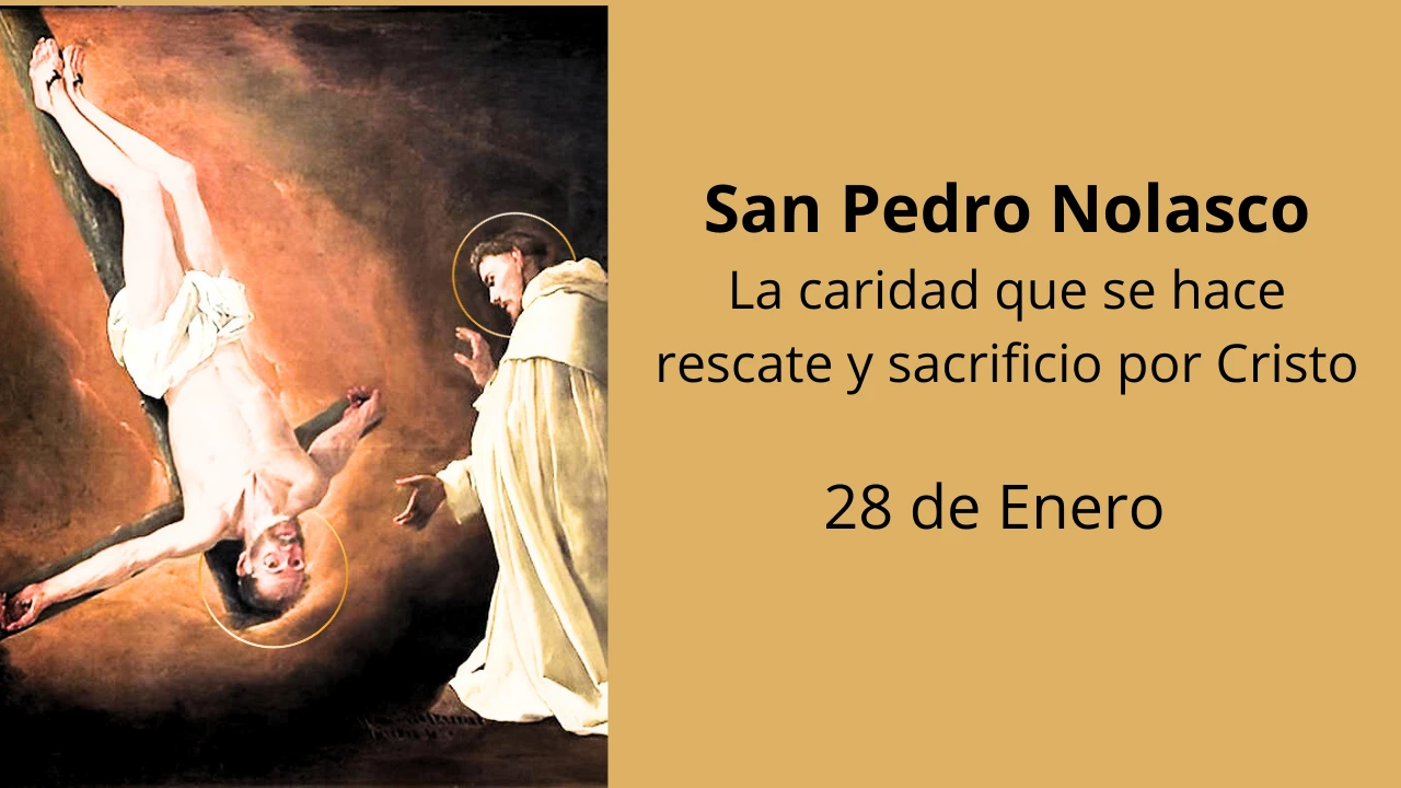San Pedro Nolasco: La caridad que se hace rescate y sacrificio por Cristo