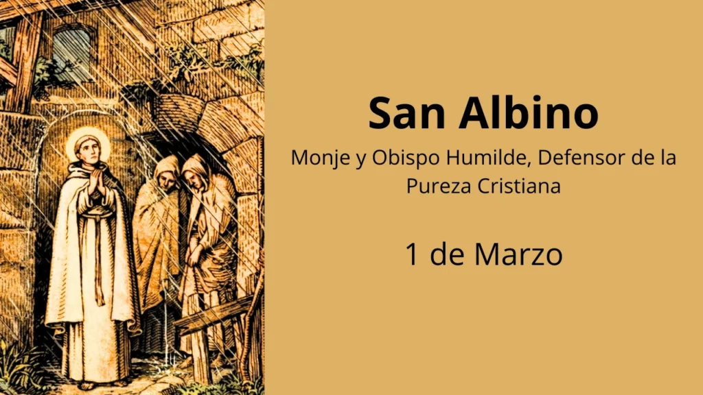 San Albino: Monje y Obispo Humilde, Defensor de la Pureza Cristiana
