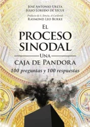 El Proceso Sinodal: Una Caja de Pandora