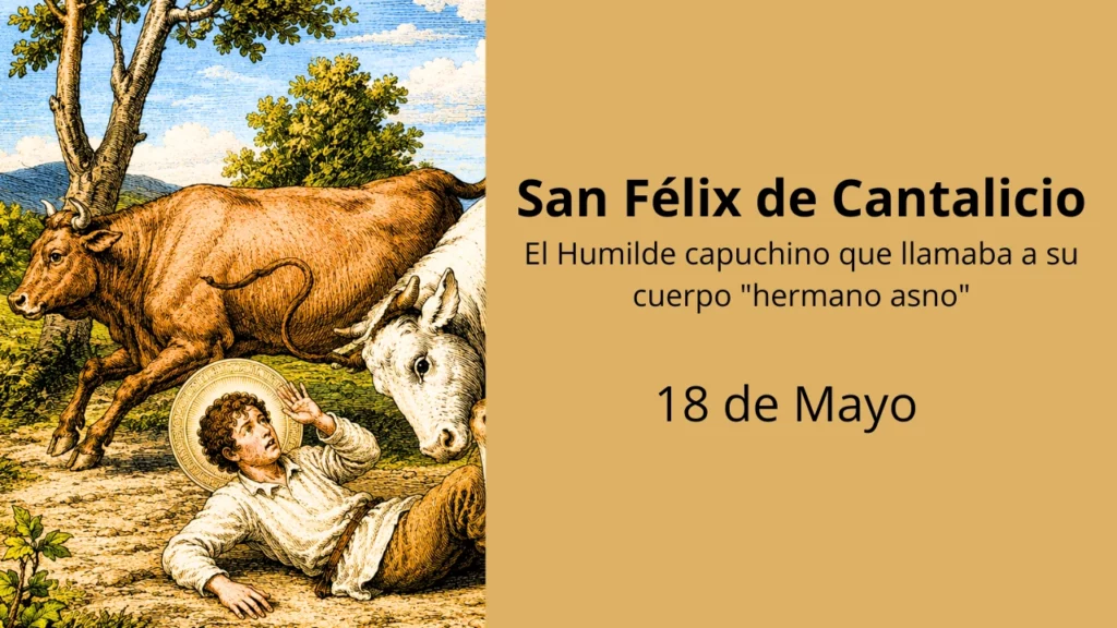 San Félix de Cantalicio: El Humilde capuchino que llamaba a su cuerpo "hermano asno"